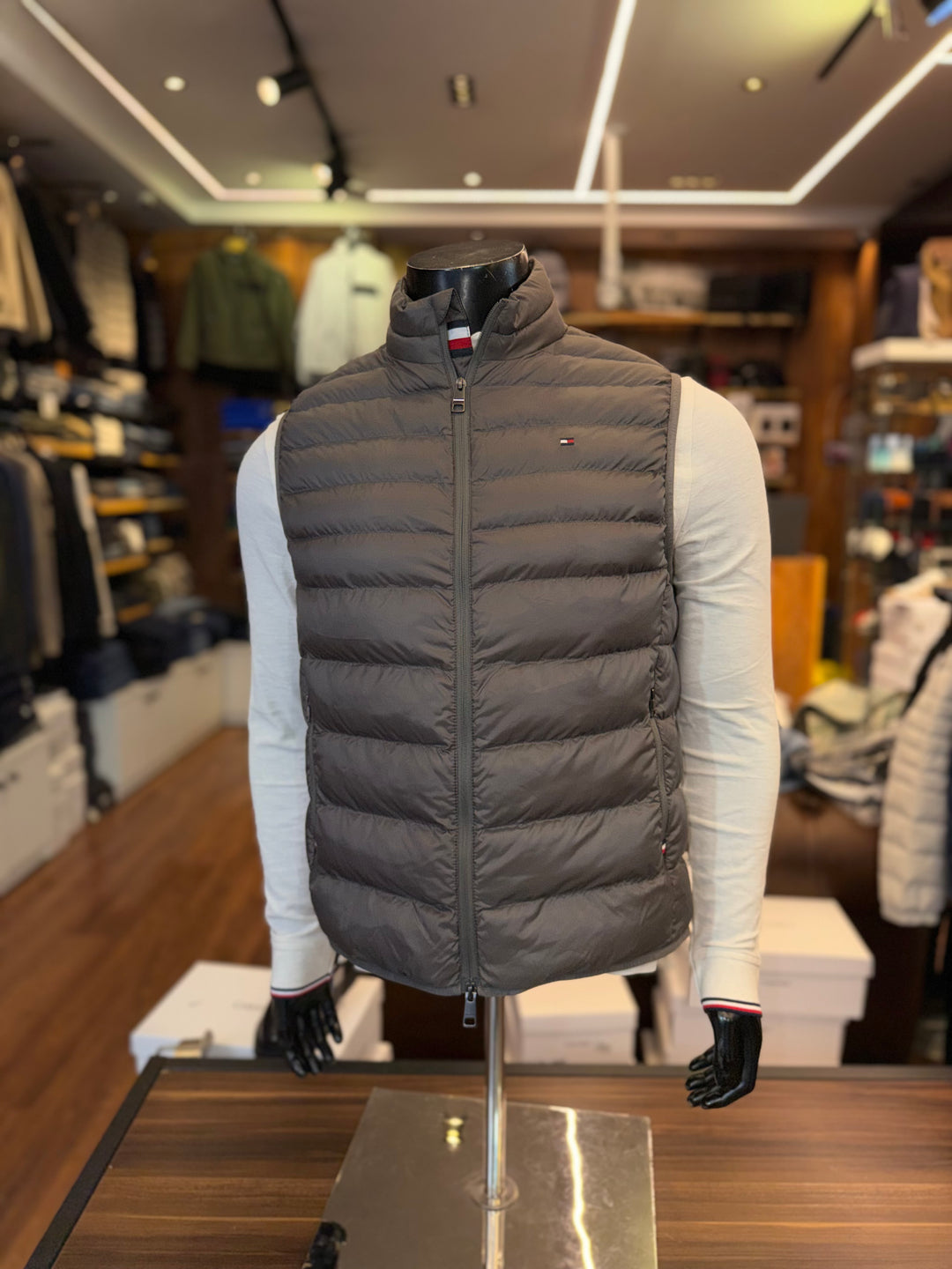 VESTE TH SM SHADY STONE XM05671