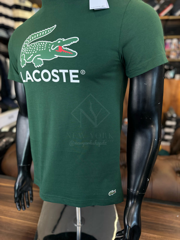 T-shirt Lacoste avec imprimé signature en jersey de coton